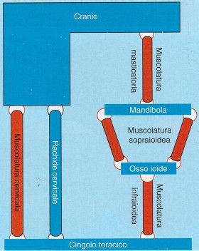 Disordini temporo mandibolari - MEDIADENT SARZANA